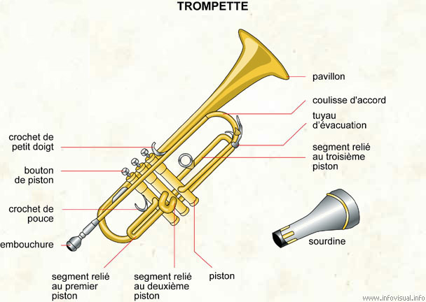 Trompette (Dictionnaire Visuel)